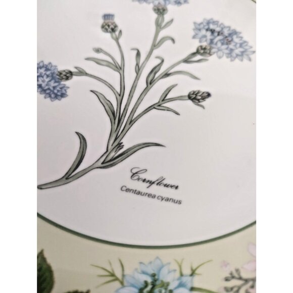 Aynsley Bone China collectors plates set Flowers From the Gardens of Old England - Picture 4 of 16